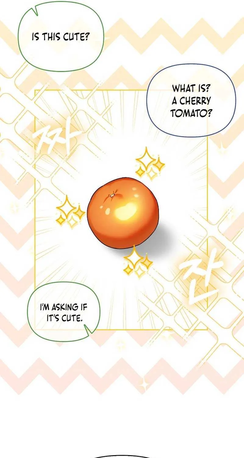 Even Though I Transmigrated as a Villainess, I’d Rather Raise a Cat Chapter 9 page 48 - 