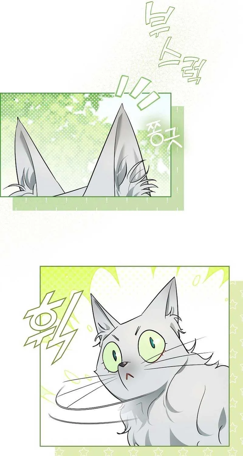 Even Though I Transmigrated as a Villainess, I’d Rather Raise a Cat Chapter 9 page 61 - 