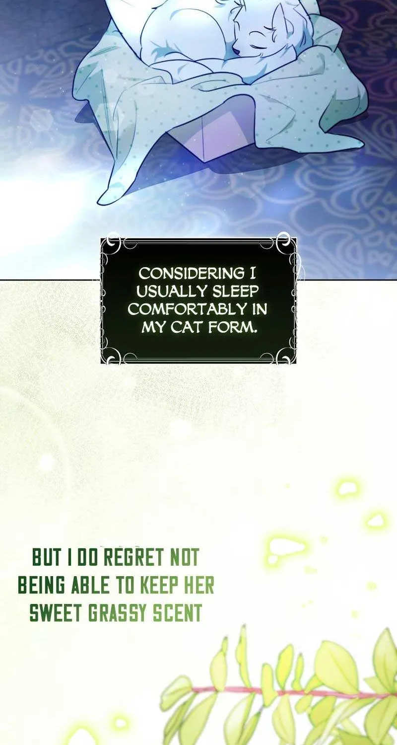 Even Though I Transmigrated as a Villainess, I’d Rather Raise a Cat Chapter 9 page 73 - 