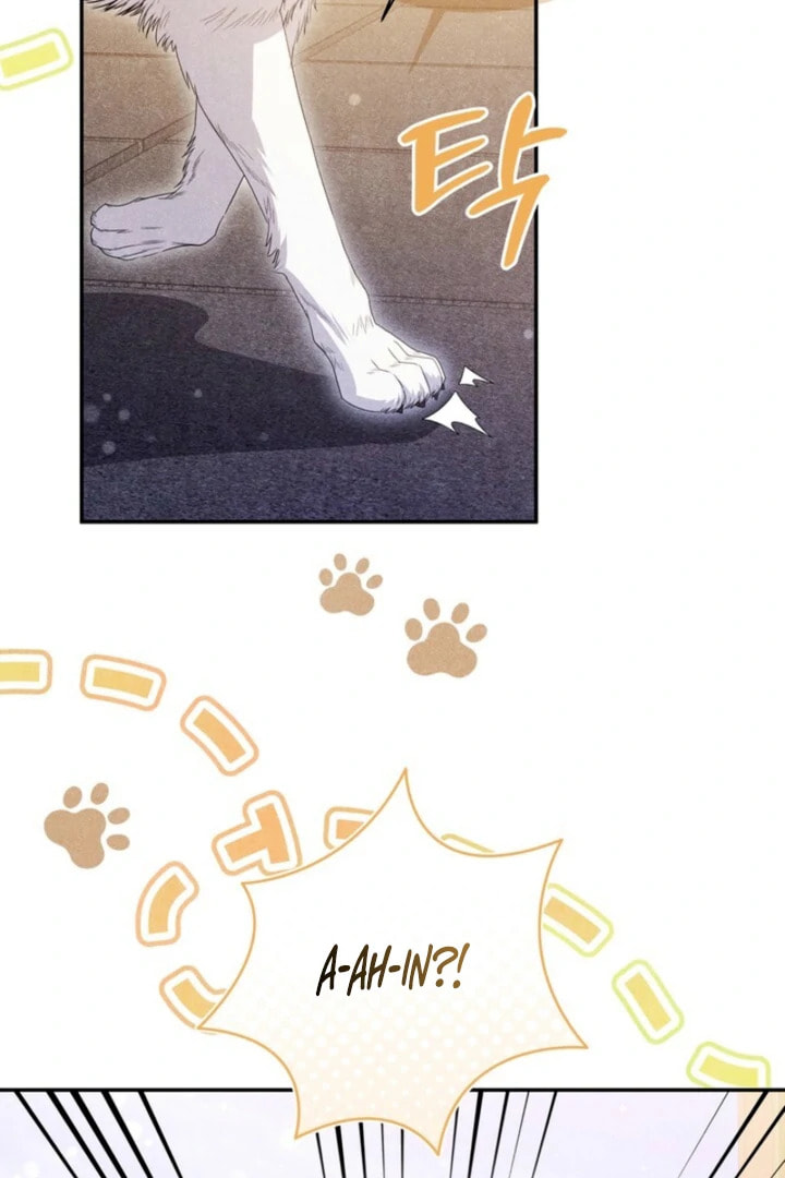 Everyday Every Night Chapter 17 page 56 - 