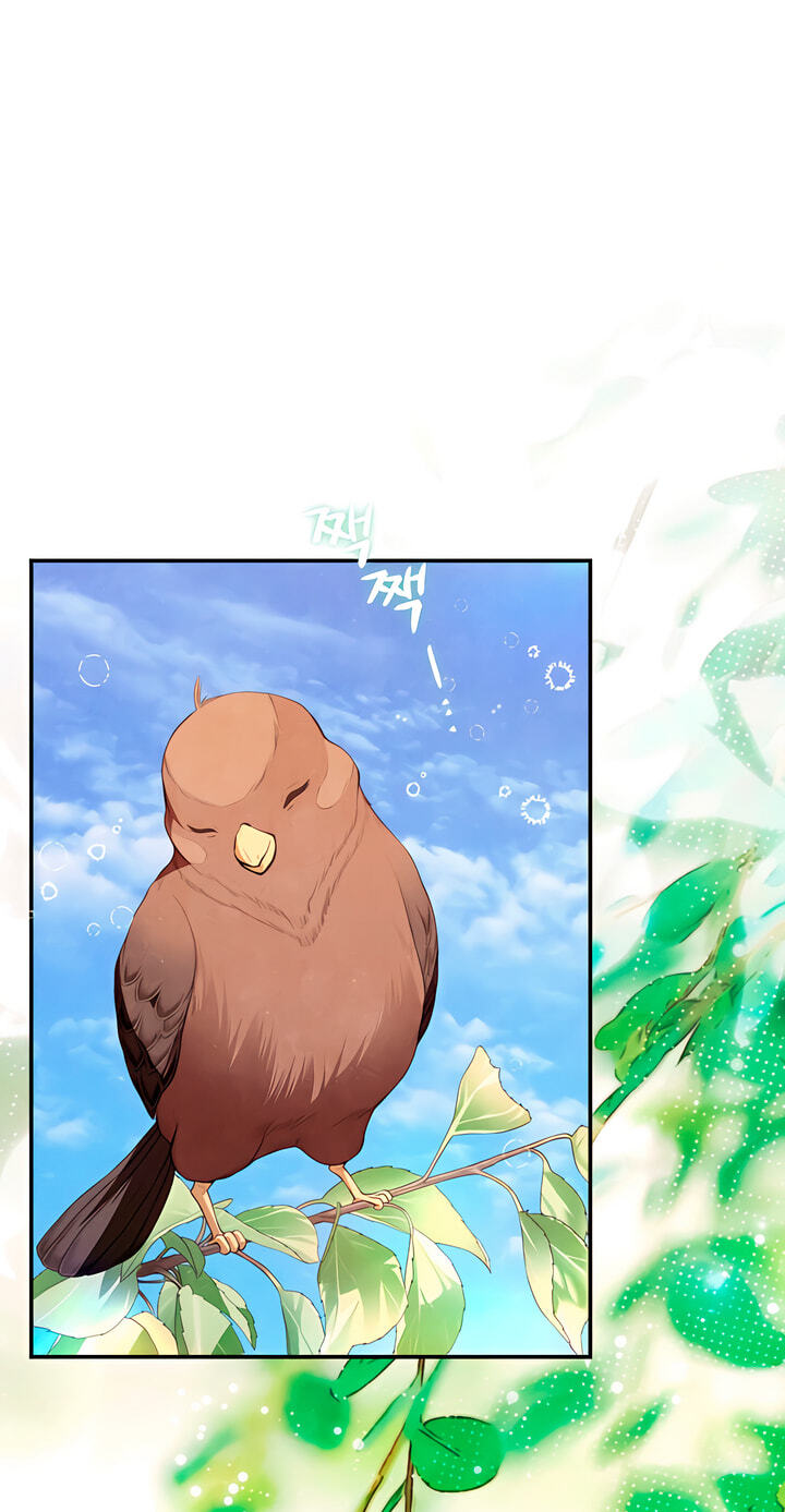 Everyday Every Night Chapter 43 page 71 - 