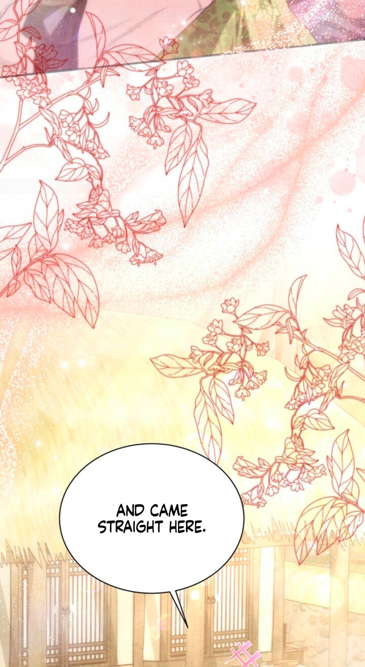 Everyday Every Night Chapter 44 page 42 - 