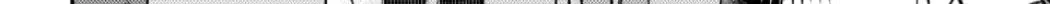 Everyone
