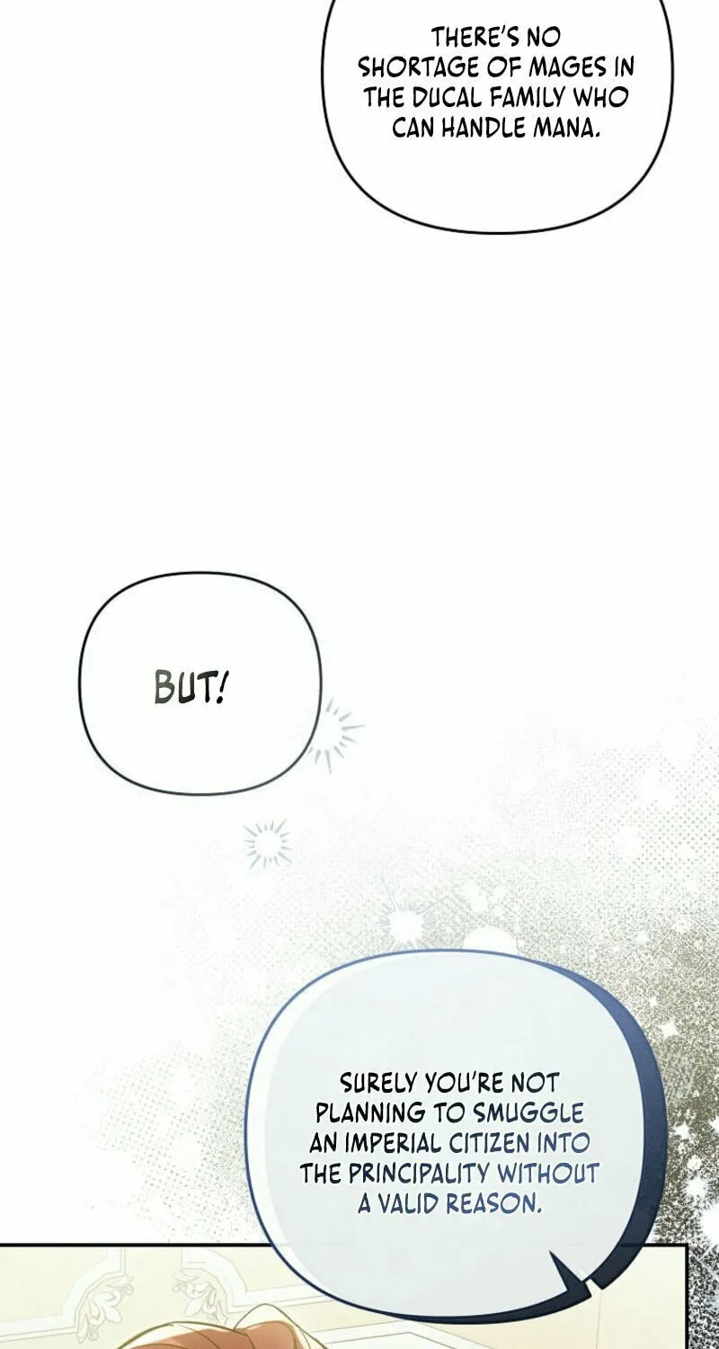 Everyone Was Obsessed With Me After I Became the Youngest Princess Favourite Chapter 10 page 19 - 
