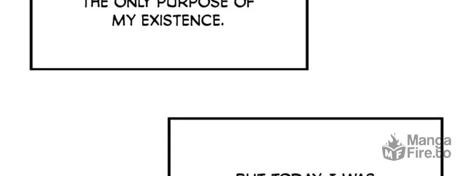 Everything