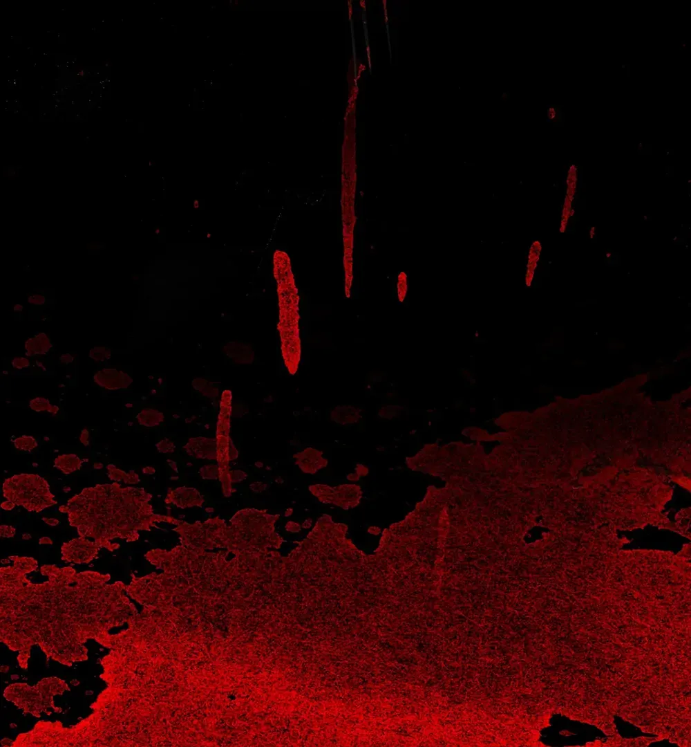Evil Baby Chapter 26 page 19 - 