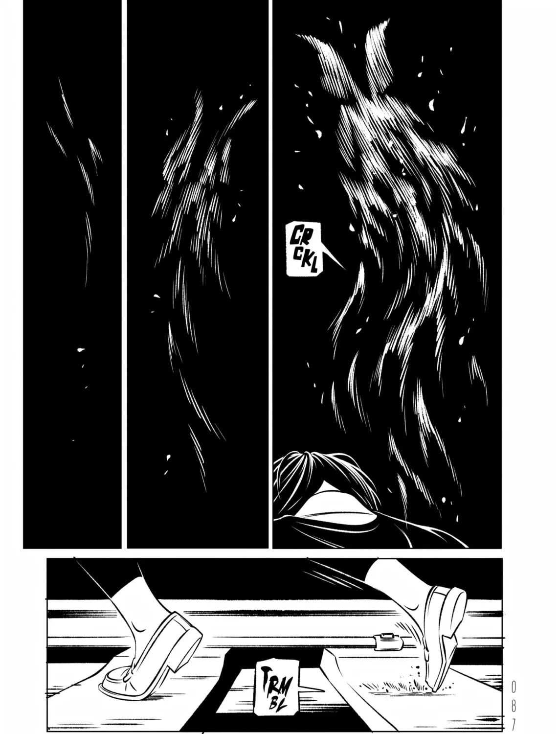 EVOL Chapter 13 page 87 - 