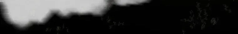Evolution From a Tree Chapter 1 page 68 - 