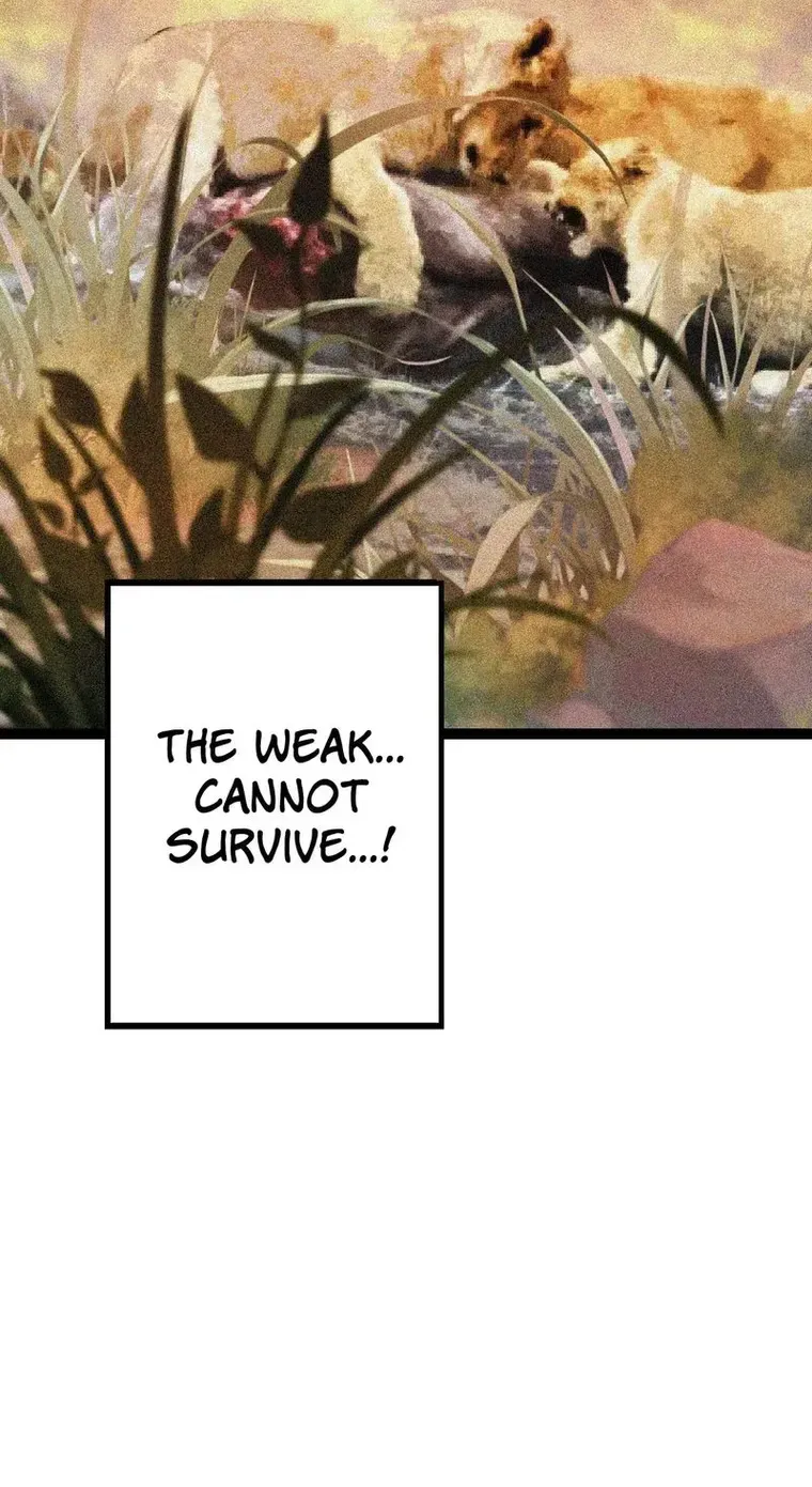 Evolution From a Tree Chapter 13 page 112 - 