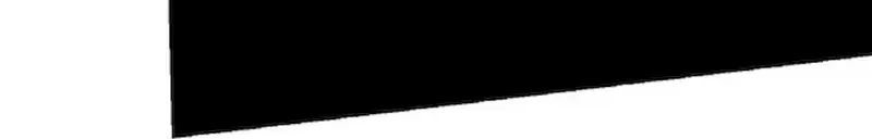 Evolution From a Tree Chapter 39 page 52 - 