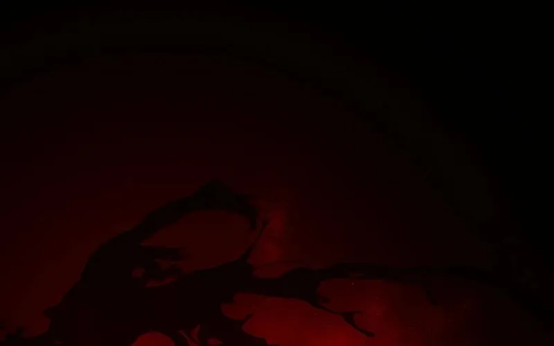 Evolution: Road to Space Monster Chapter 36 page 18 - 
