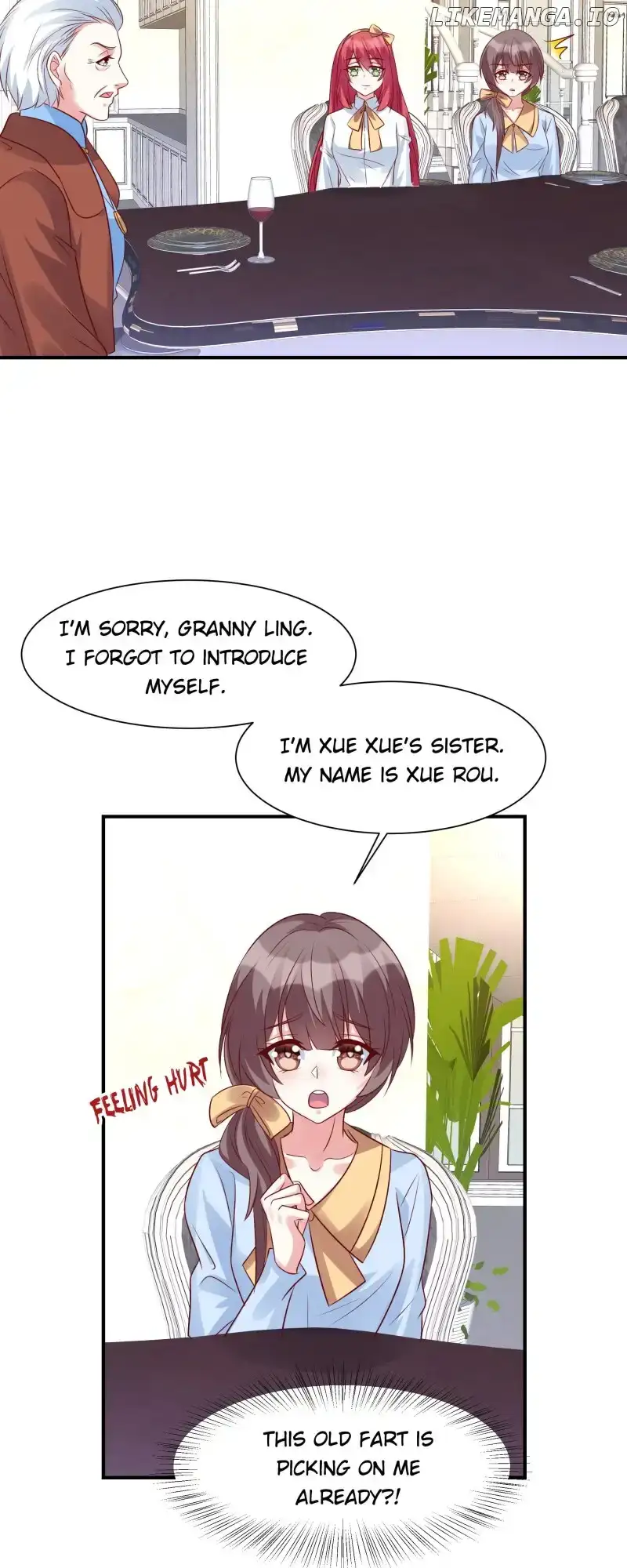 Exclusive Possession: Young Master Ji
