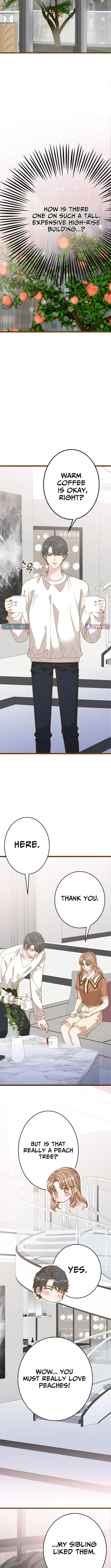 Executive, Let’s Just Hold Hands and Sleep Chapter 17 page 7 - 