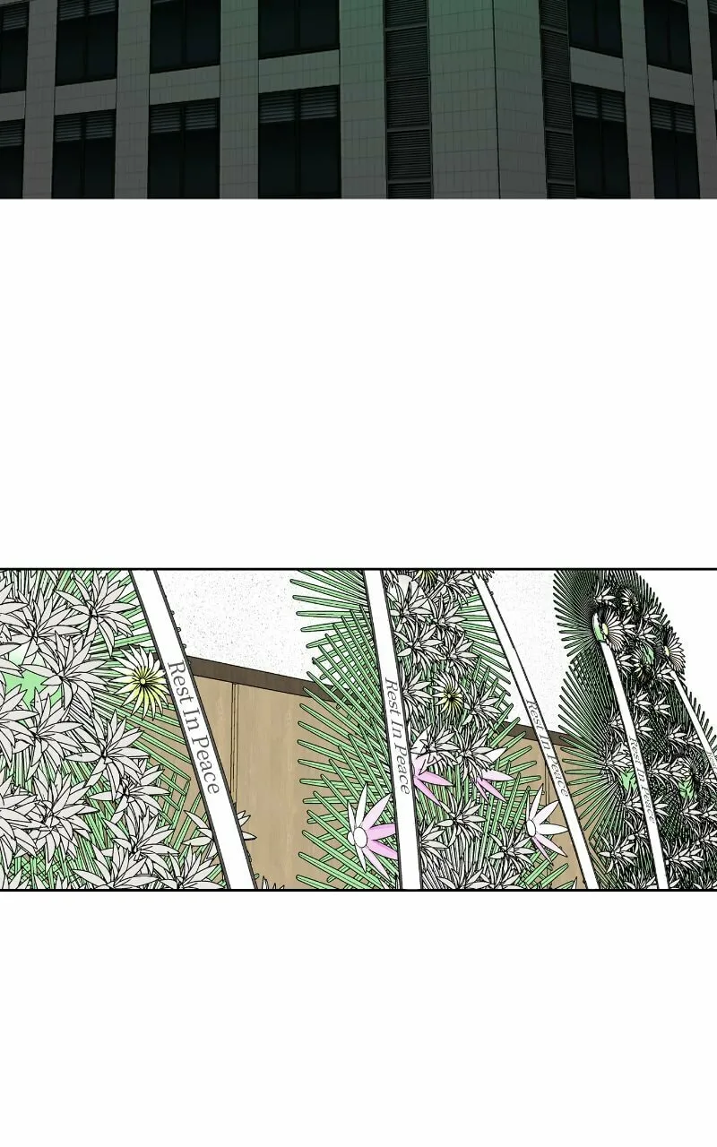 Extroversion of an Immortal Chapter 11 page 2 - 