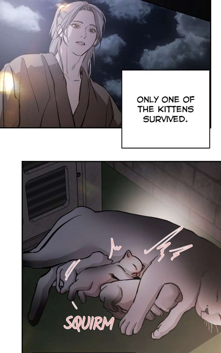 Extroversion of an Immortal Chapter 143 page 95 - 