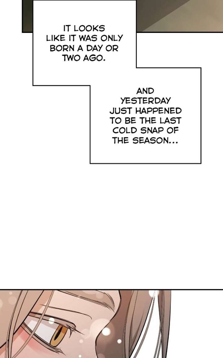 Extroversion of an Immortal Chapter 143 page 96 - 