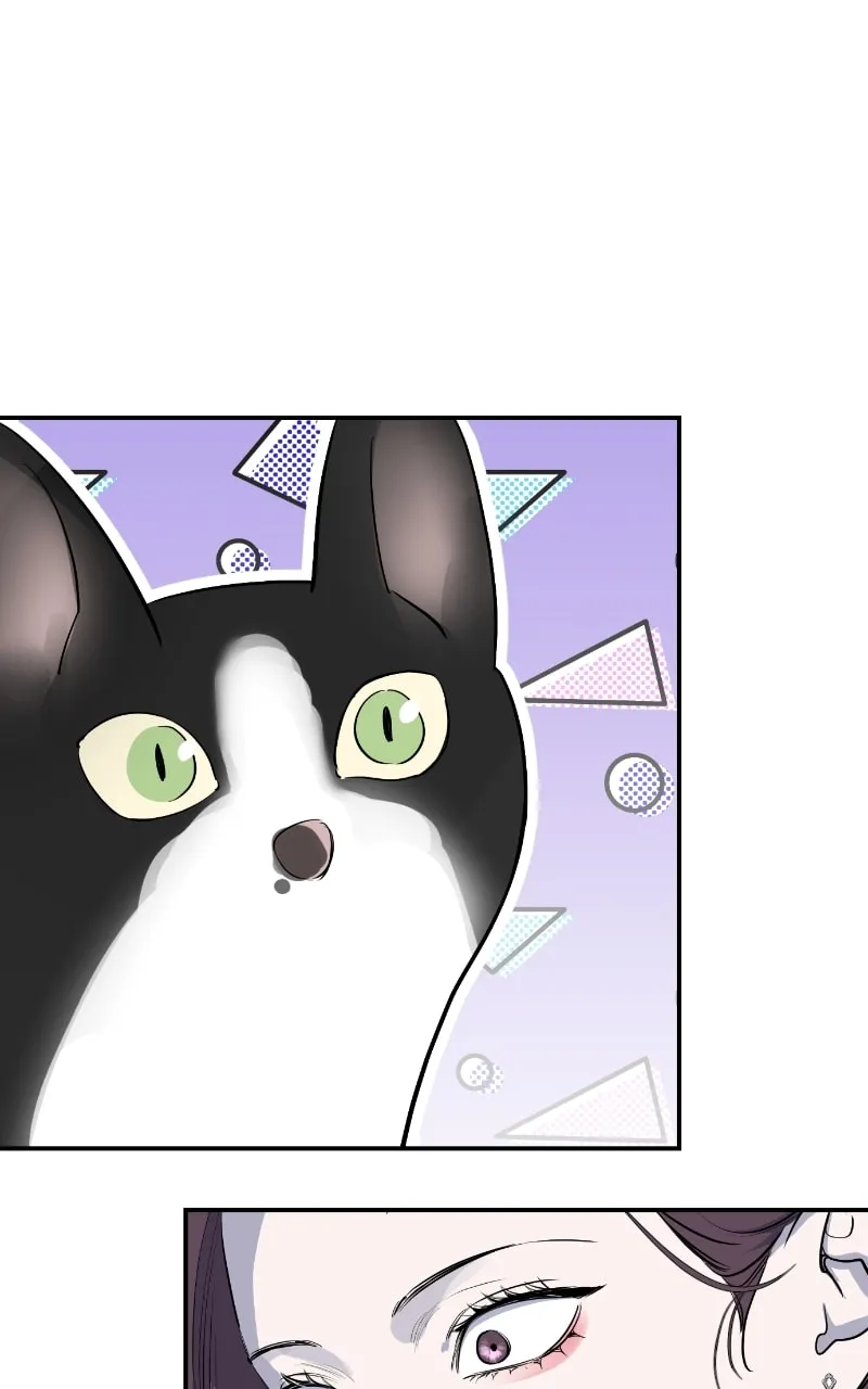 Extroversion of an Immortal Chapter 50 page 59 - 