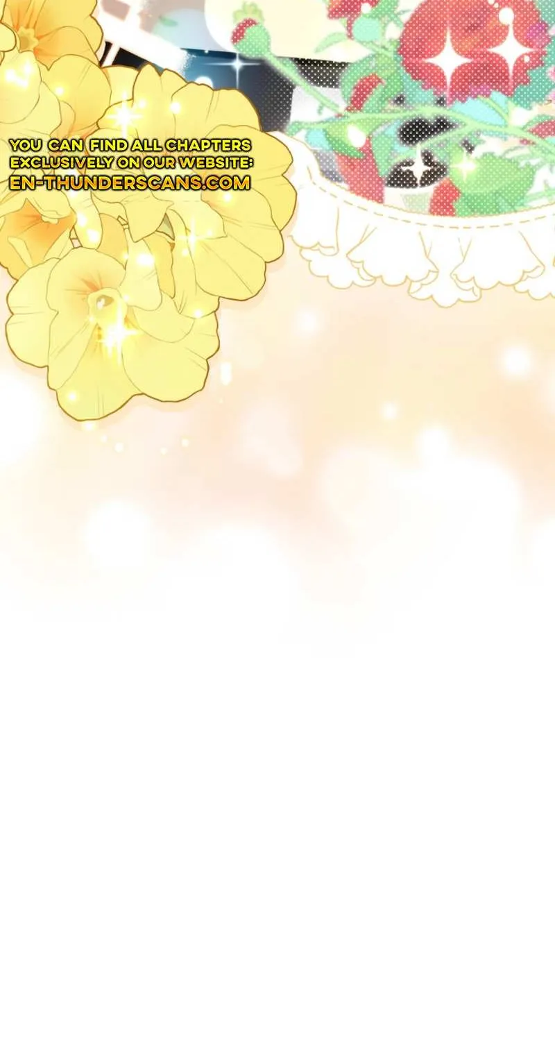 Face Genius, 0-Year-Old Top Star Chapter 11 page 14 - 