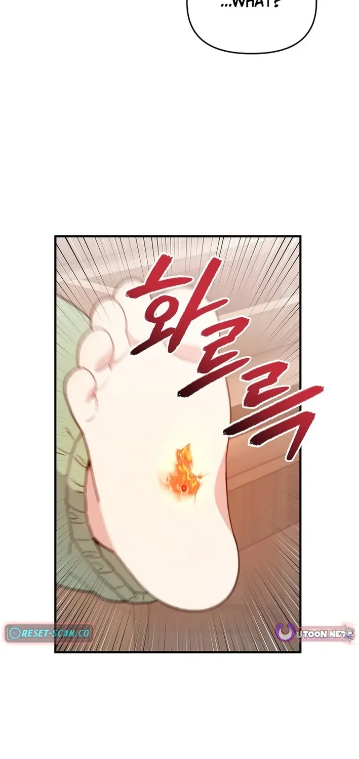 Face Genius: Top Star from Age Zero Chapter 3 page 23 - 
