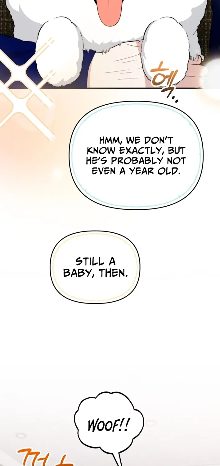 Face Genius: Top Star from Age Zero Chapter 48 page 34 - 