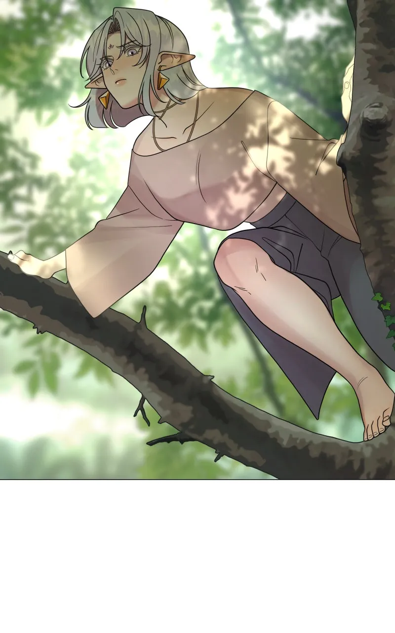 Fae Trapped Chapter 2 page 39 - 