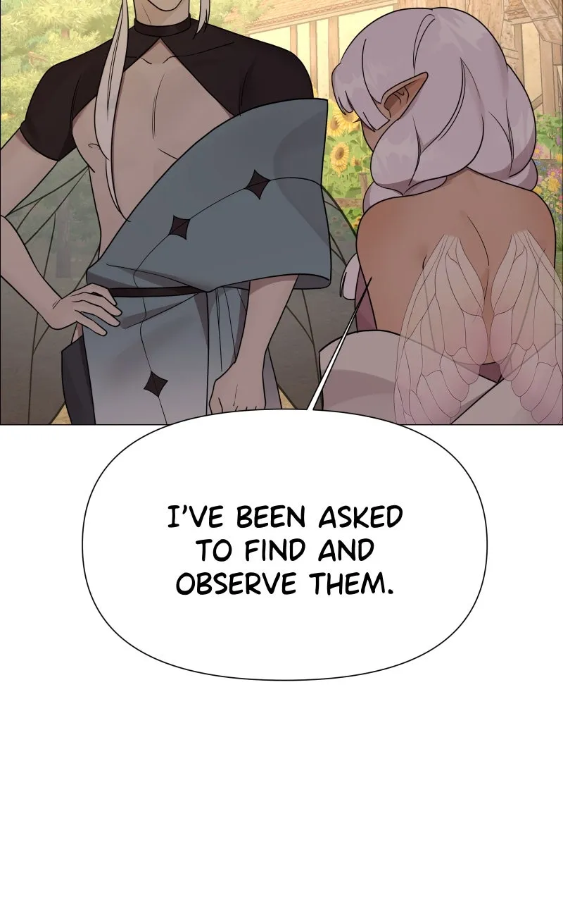 Fae Trapped Chapter 22 page 47 - 