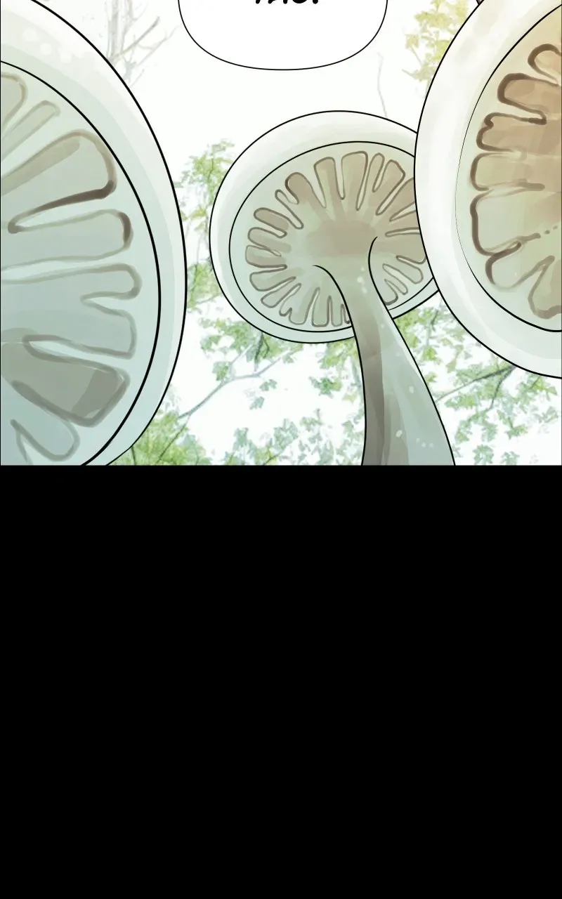 Fae Trapped Chapter 26 page 32 - 