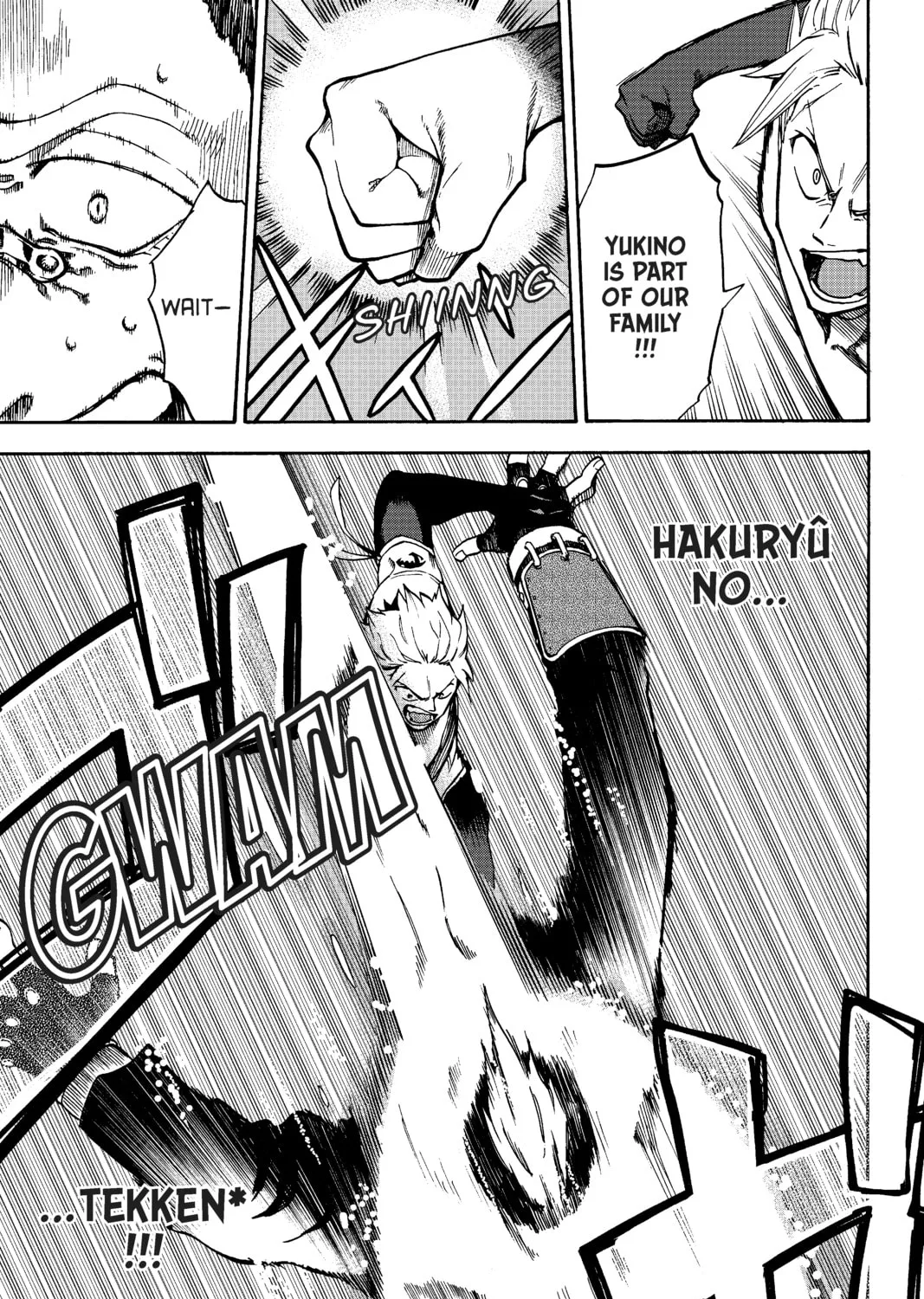Fairy Tail: Twin Dragons of Saber Tooth Chapter 3 page 13 - 