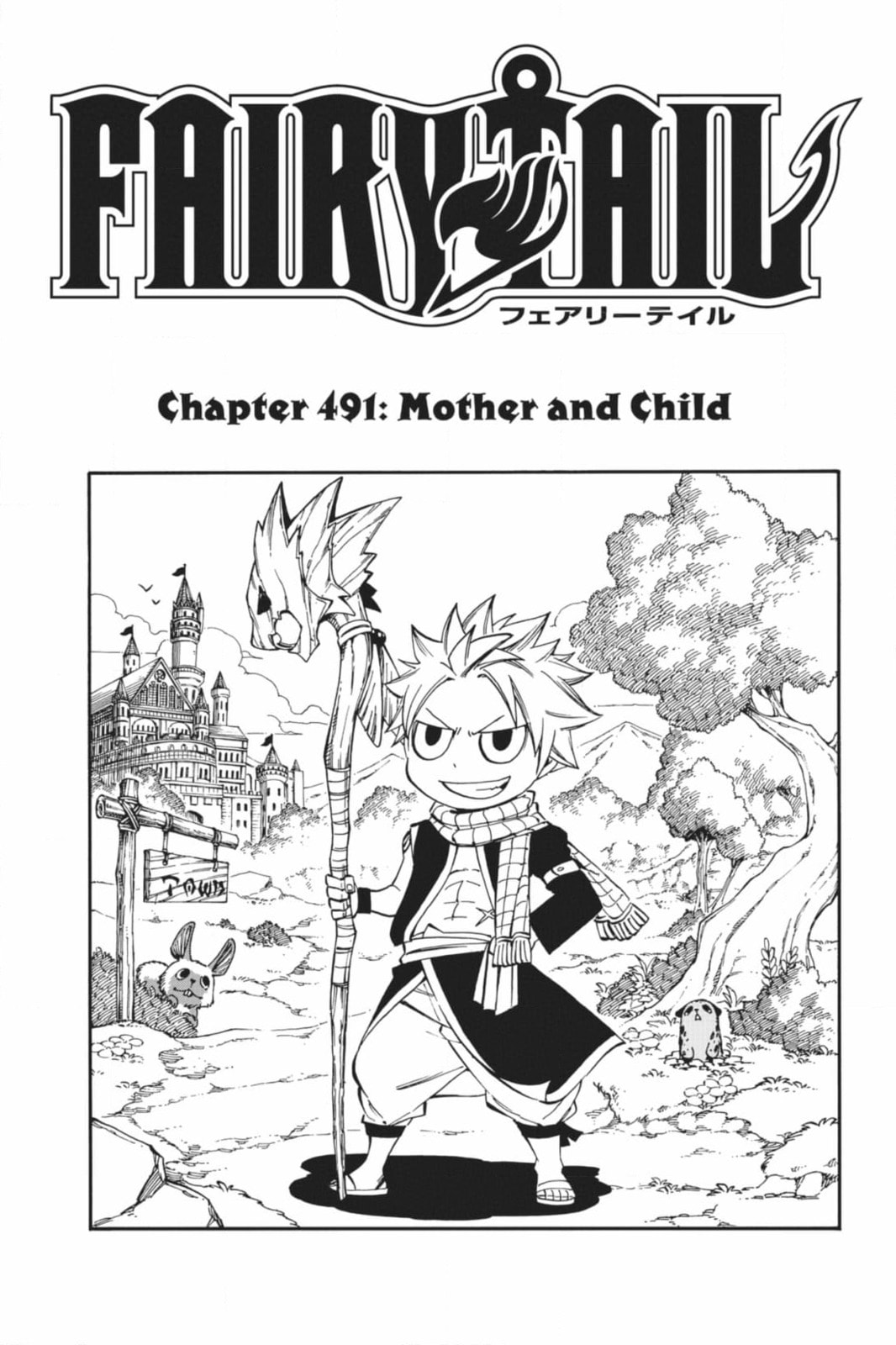 Fairy Tail: Twin Dragons of Saber Tooth Chapter 491 page 21 - 