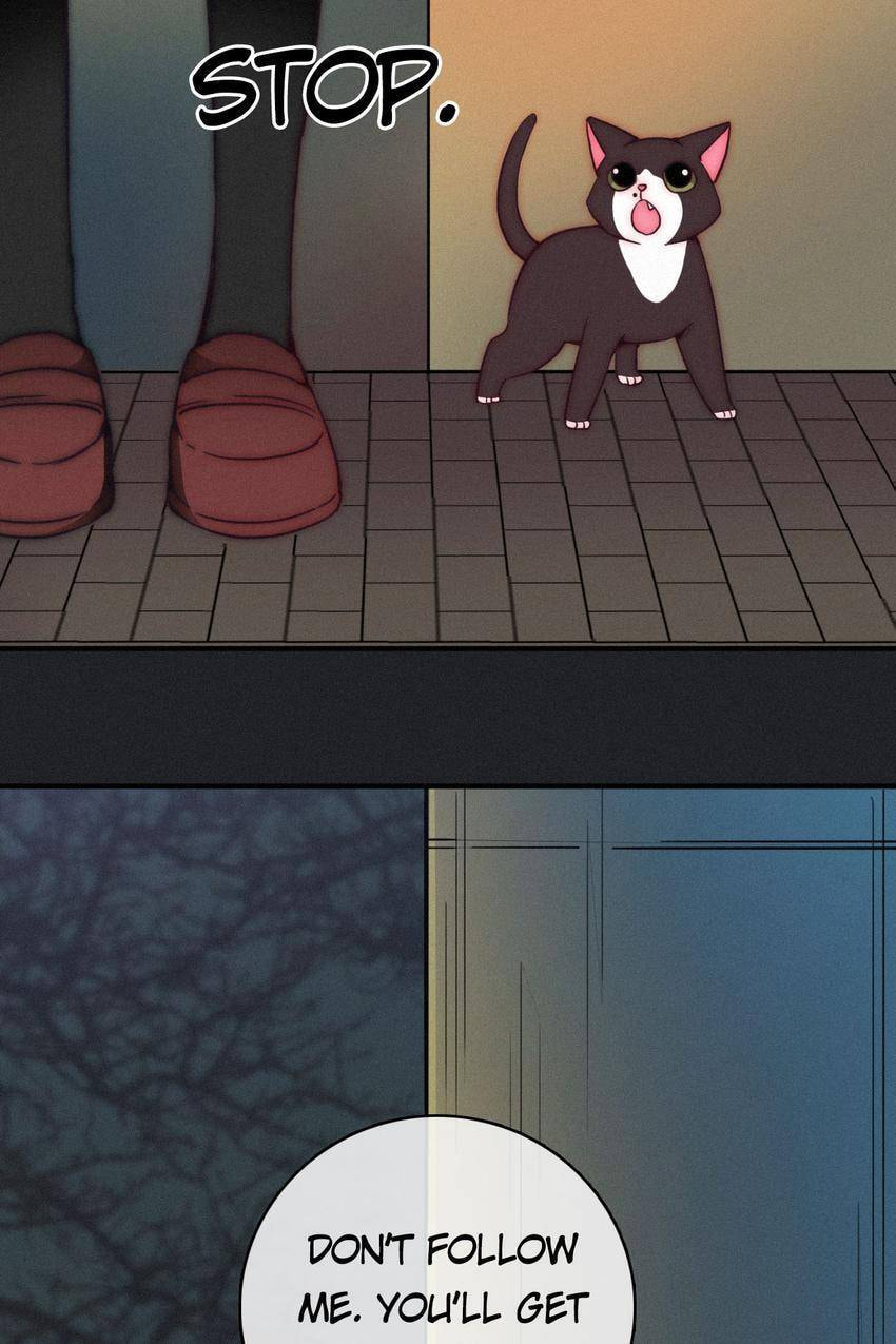 Fall in the Night with You (Colored) Chapter 1 page 47 - 