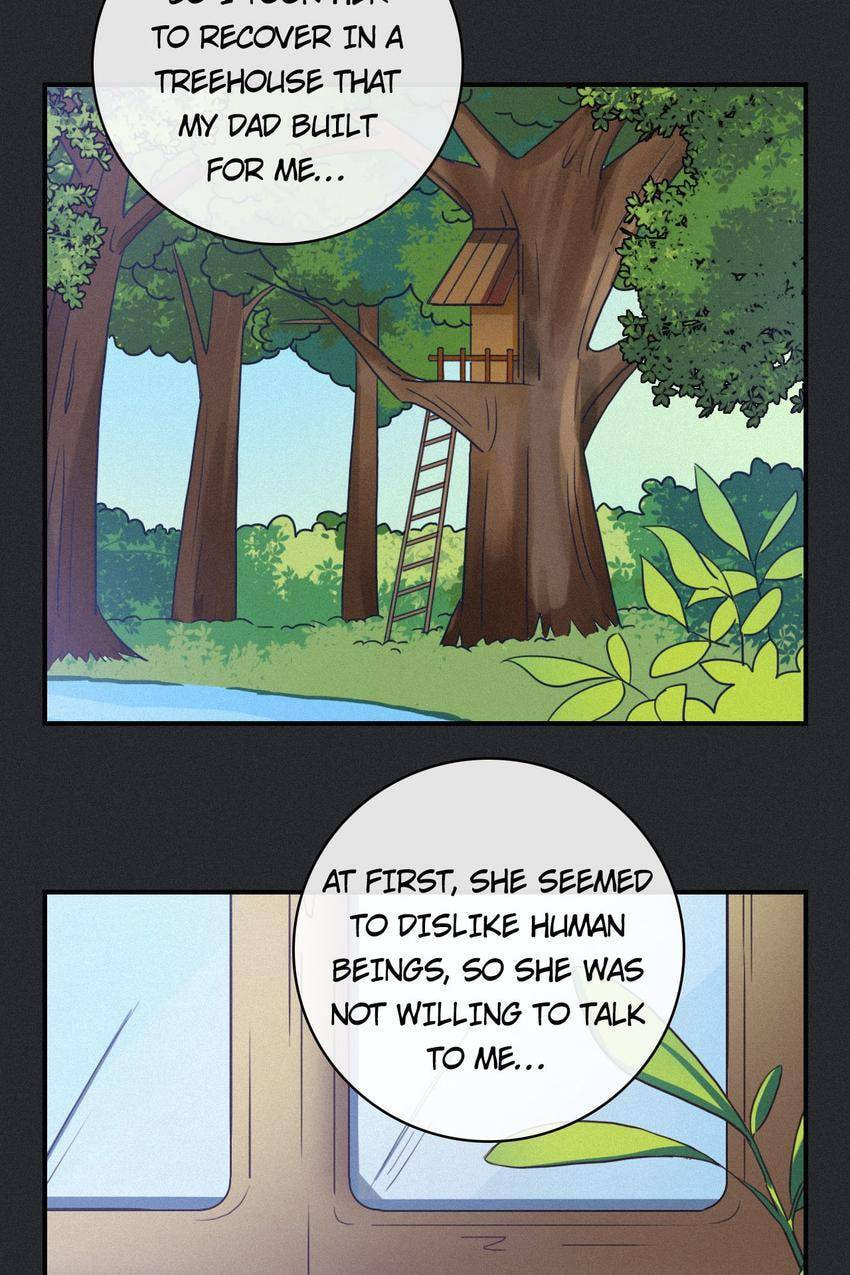 Fall in the Night with You (Colored) Chapter 12 page 52 - 