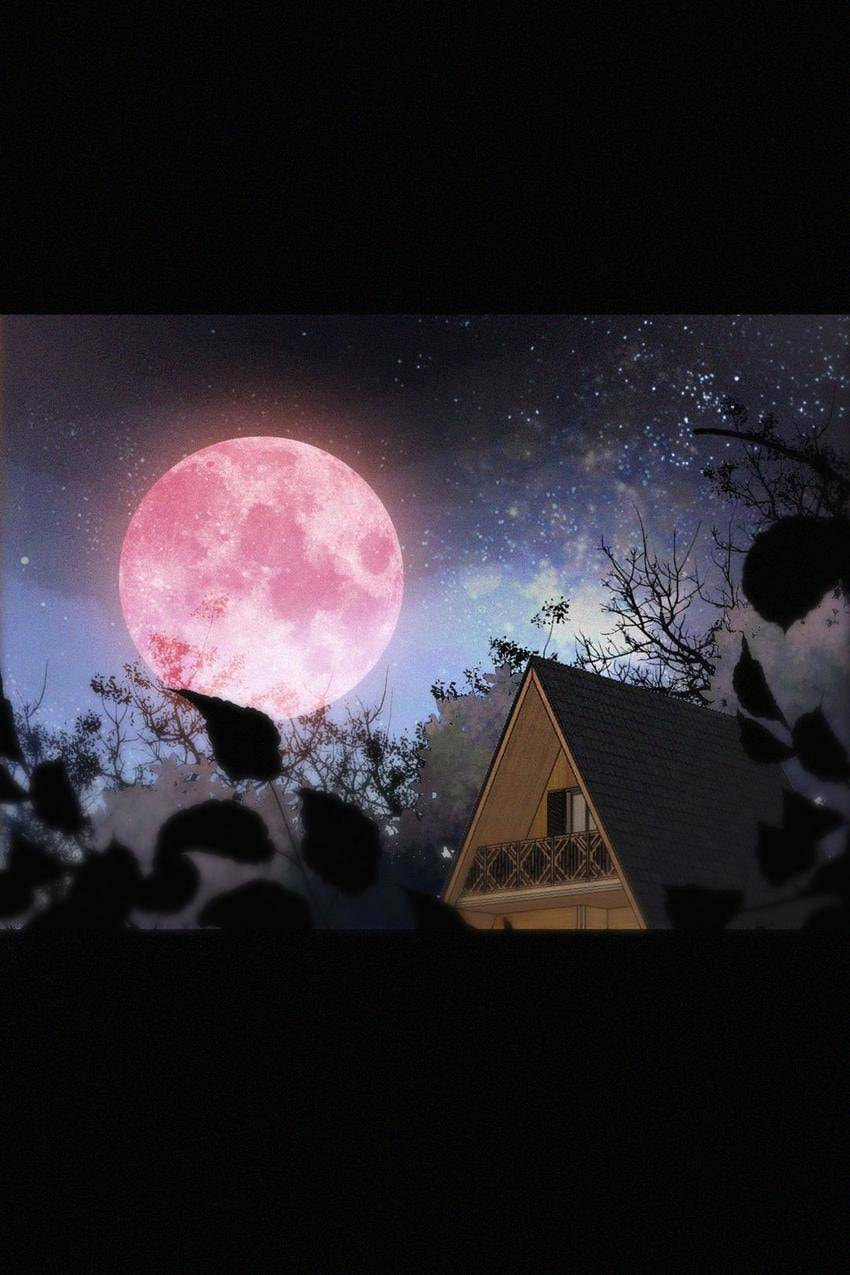 Fall in the Night with You (Colored) Chapter 125 page 1 - 