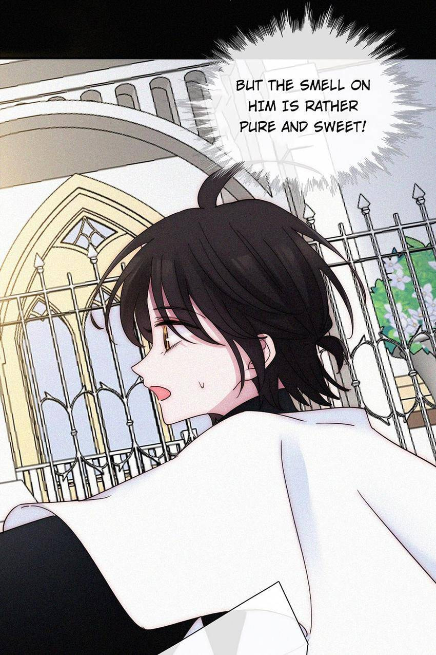Fall in the Night with You (Colored) Chapter 133 page 37 - 
