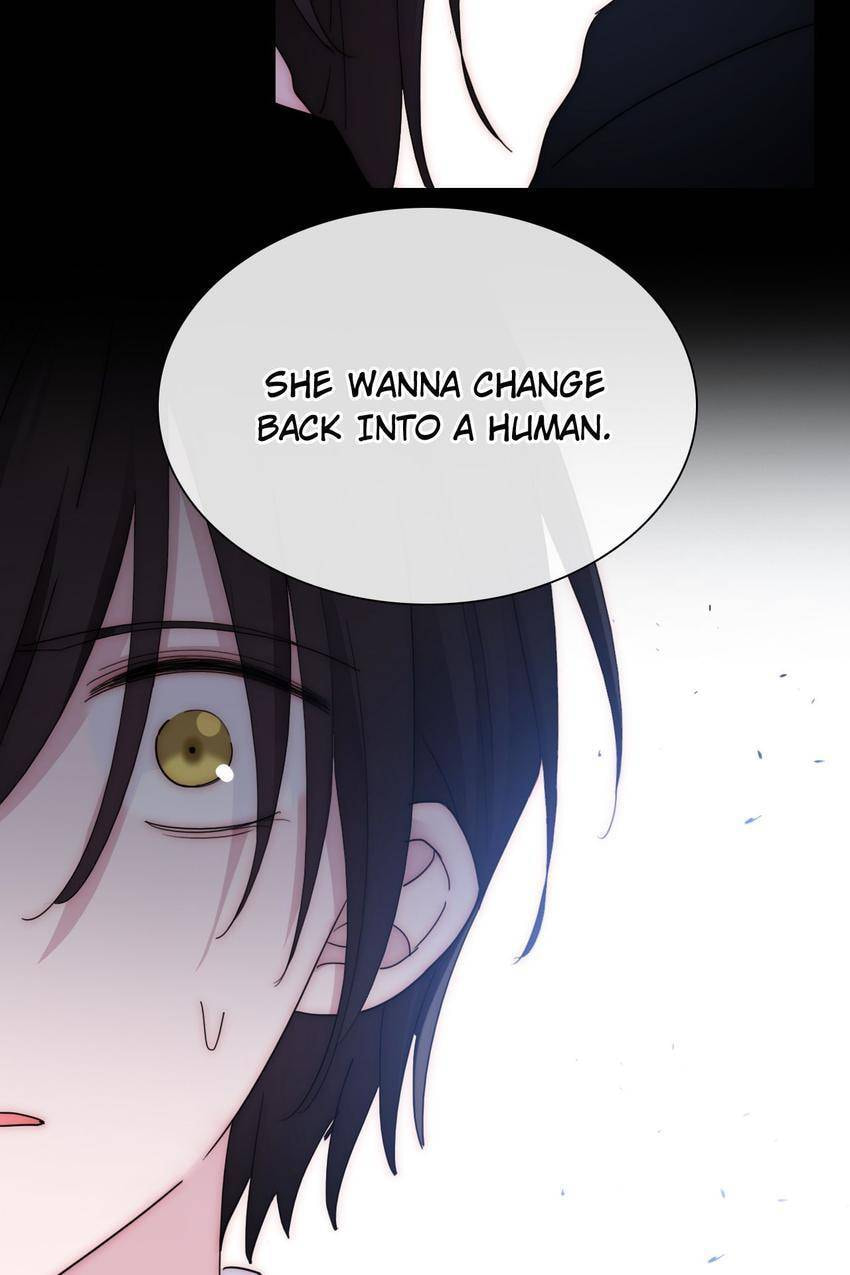 Fall in the Night with You (Colored) Chapter 139 page 37 - 