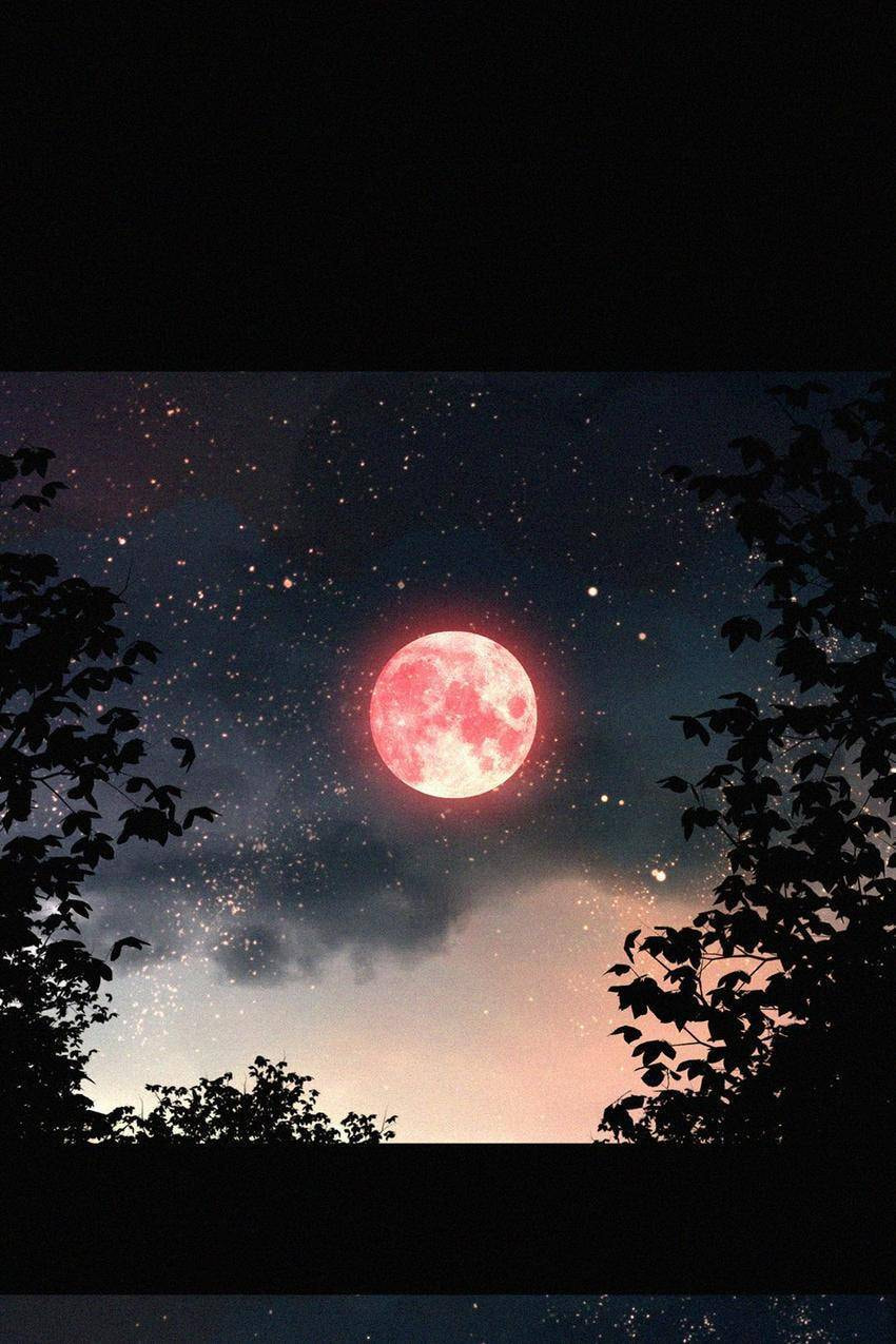 Fall in the Night with You (Colored) Chapter 142 page 57 - 