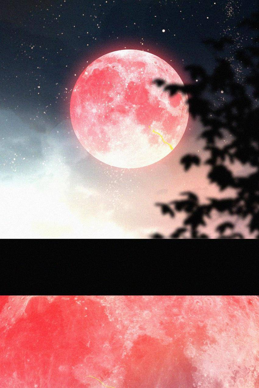 Fall in the Night with You (Colored) Chapter 142 page 58 - 