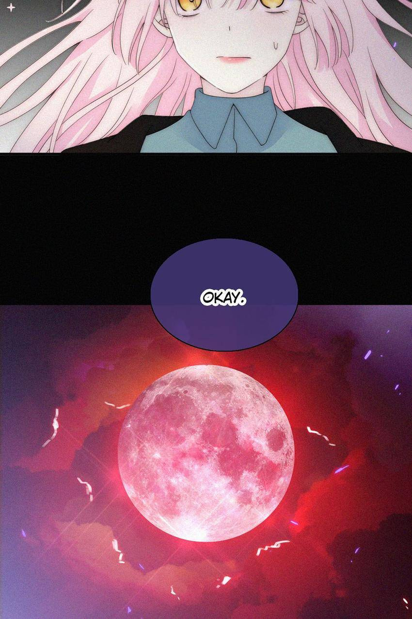 Fall in the Night with You (Colored) Chapter 149 page 5 - 