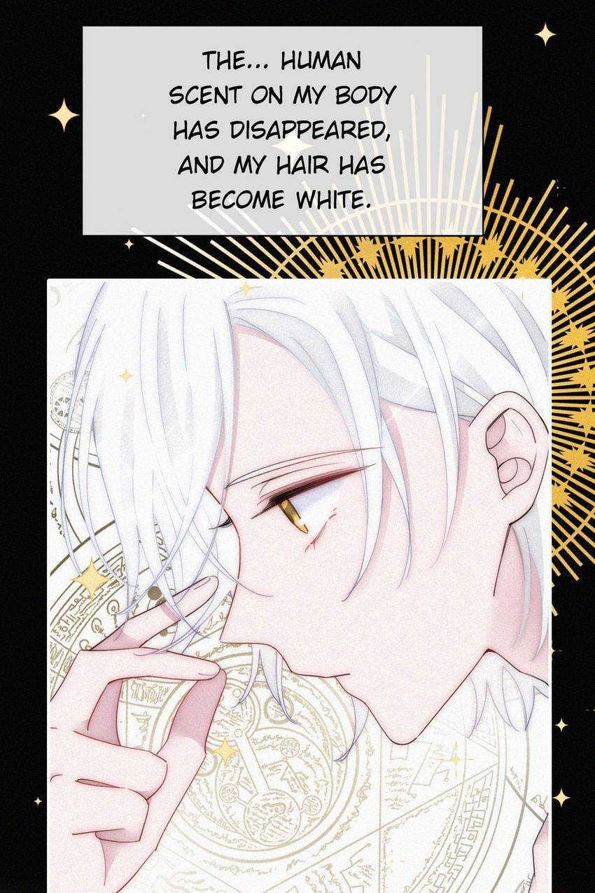 Fall in the Night with You (Colored) Chapter 159 page 5 - 