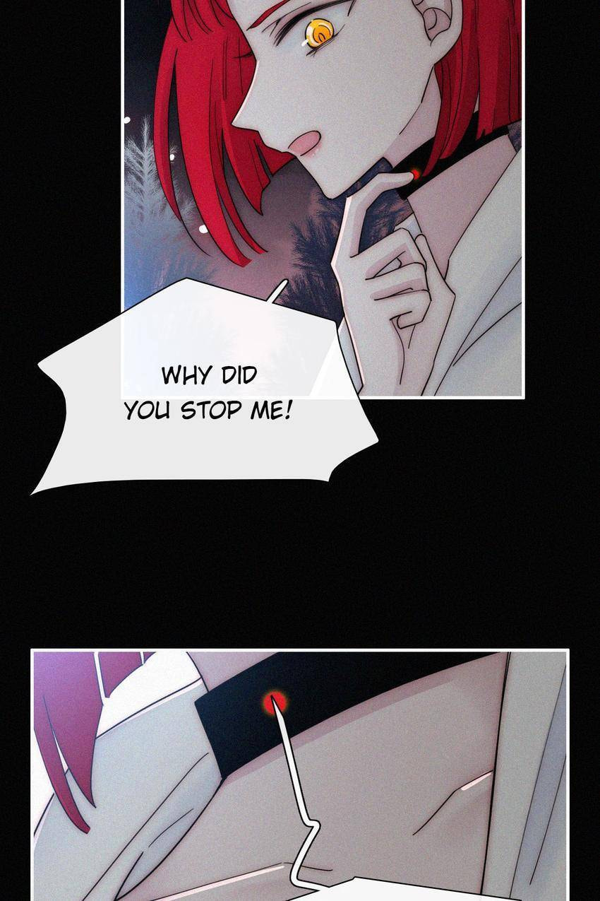 Fall in the Night with You (Colored) Chapter 164 page 13 - 
