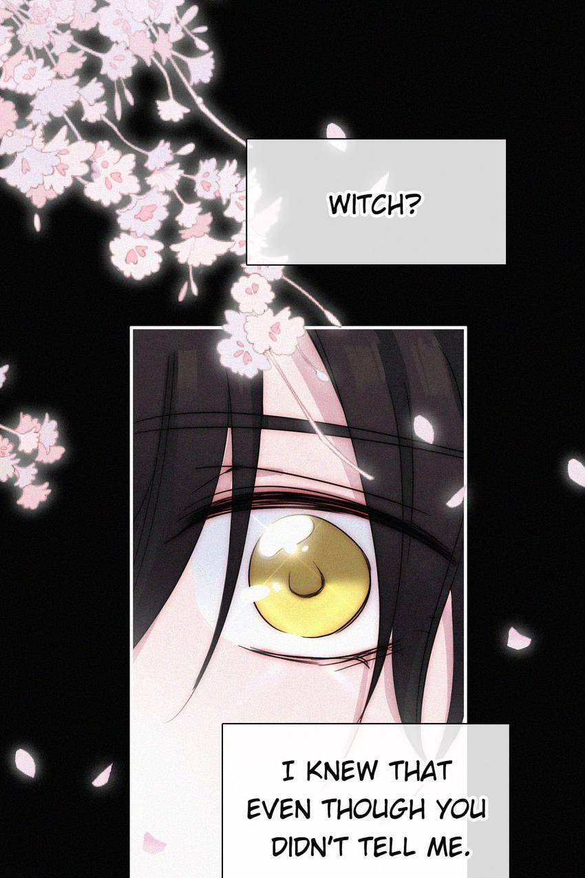 Fall in the Night with You (Colored) Chapter 173 page 32 - 