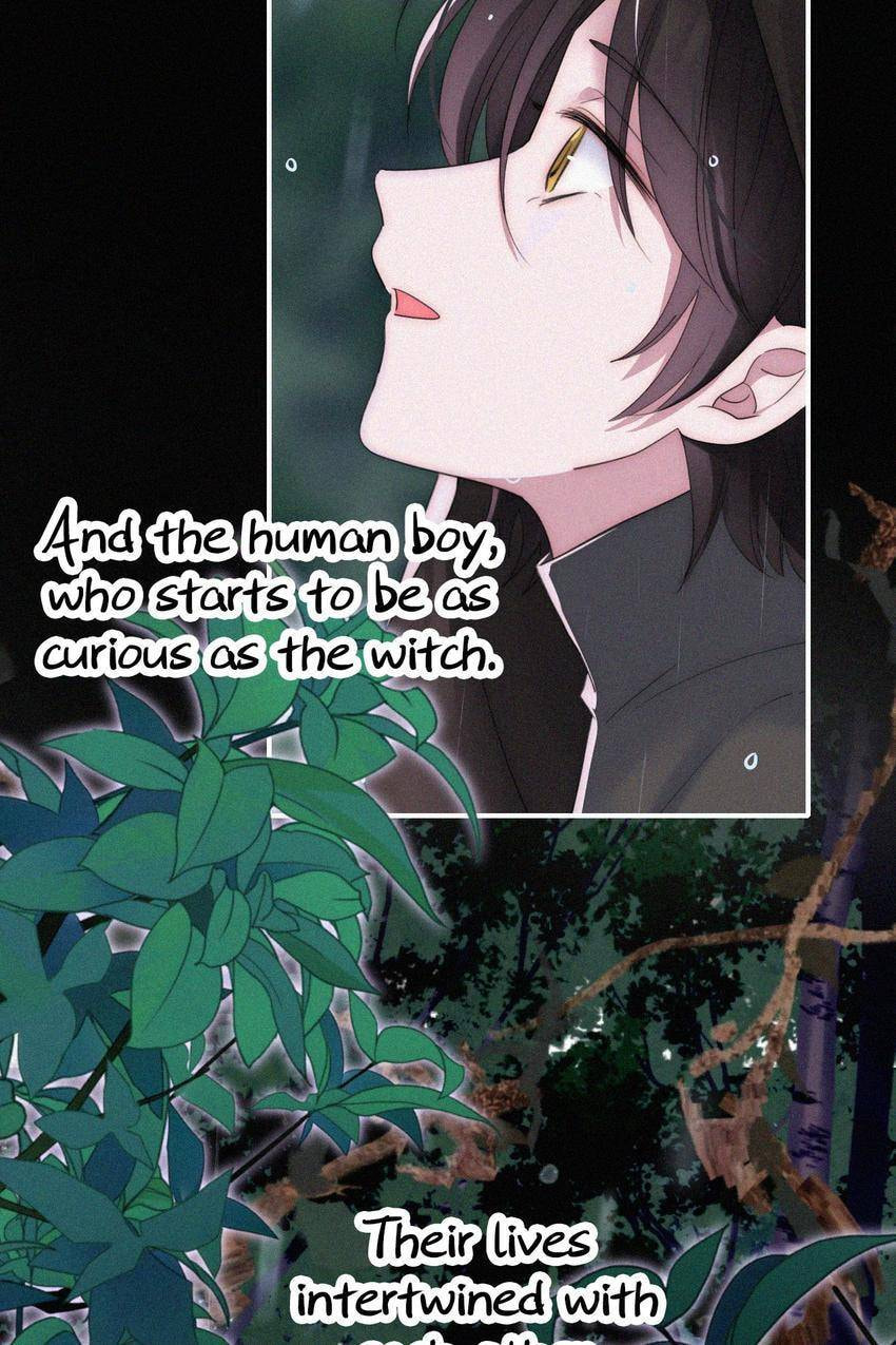 Fall in the Night with You (Colored) Chapter 180 page 2 - 