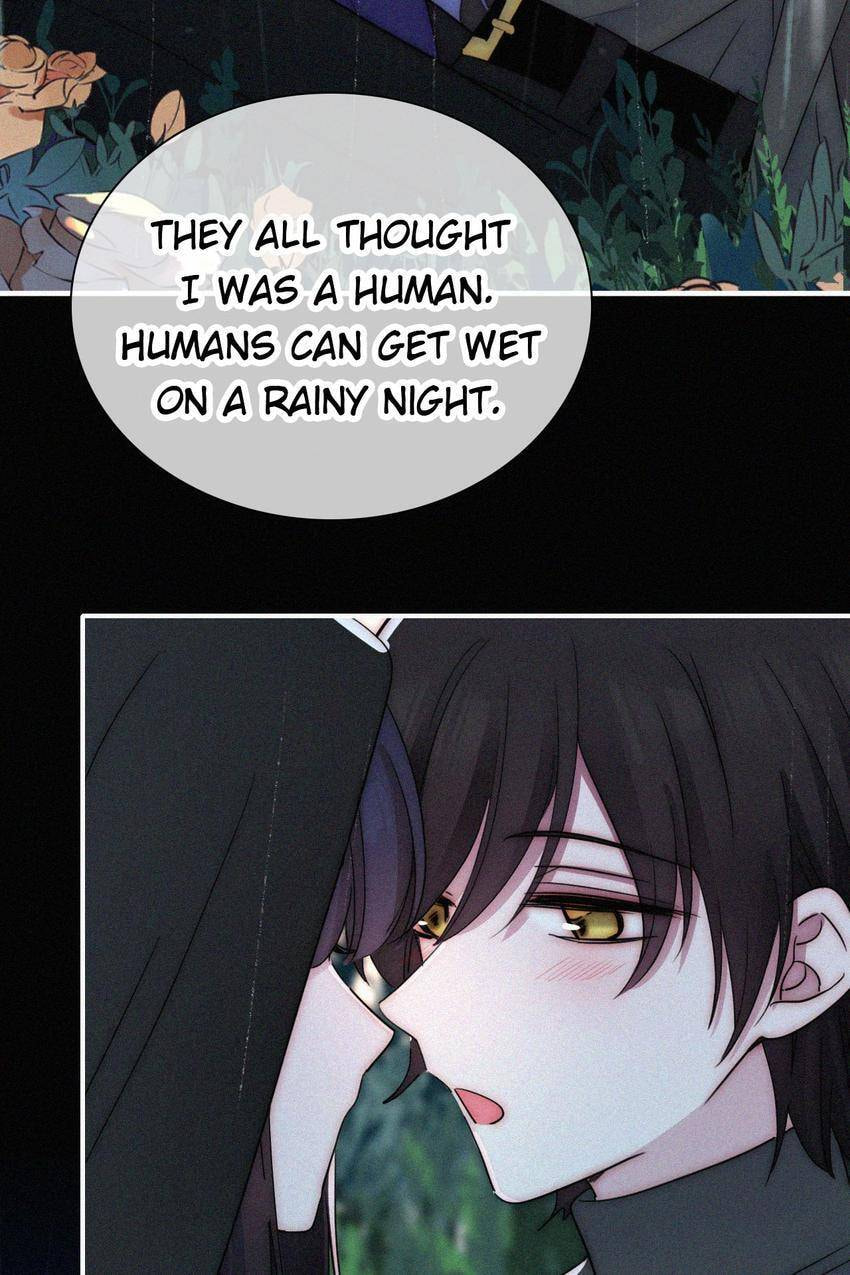 Fall in the Night with You (Colored) Chapter 180 page 40 - 
