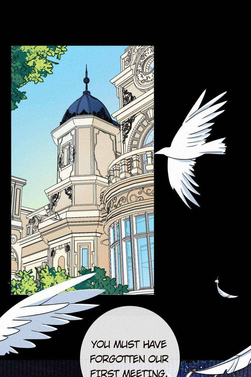 Fall in the Night with You (Colored) Chapter 21 page 7 - 