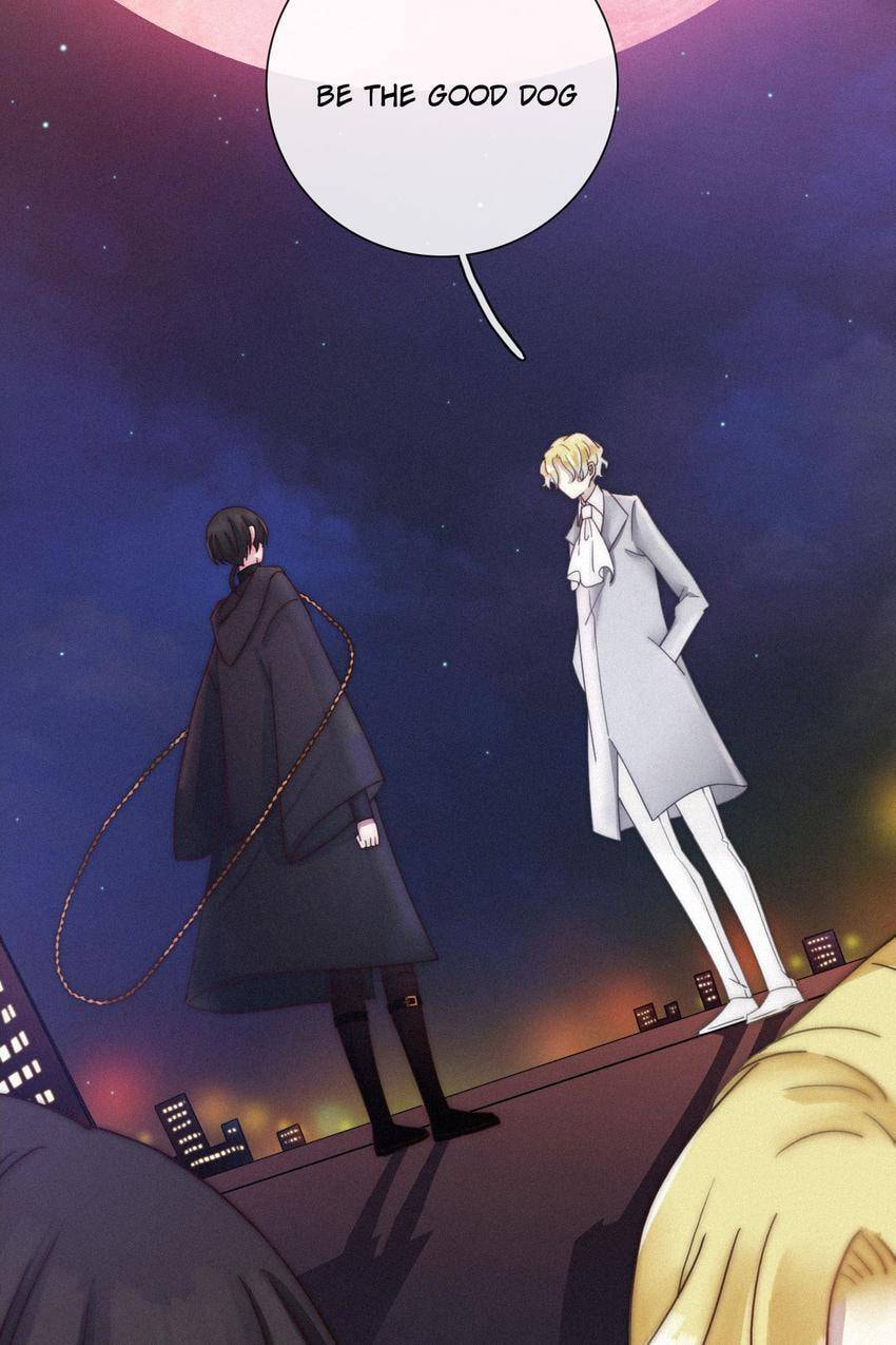 Fall in the Night with You (Colored) Chapter 38 page 44 - 