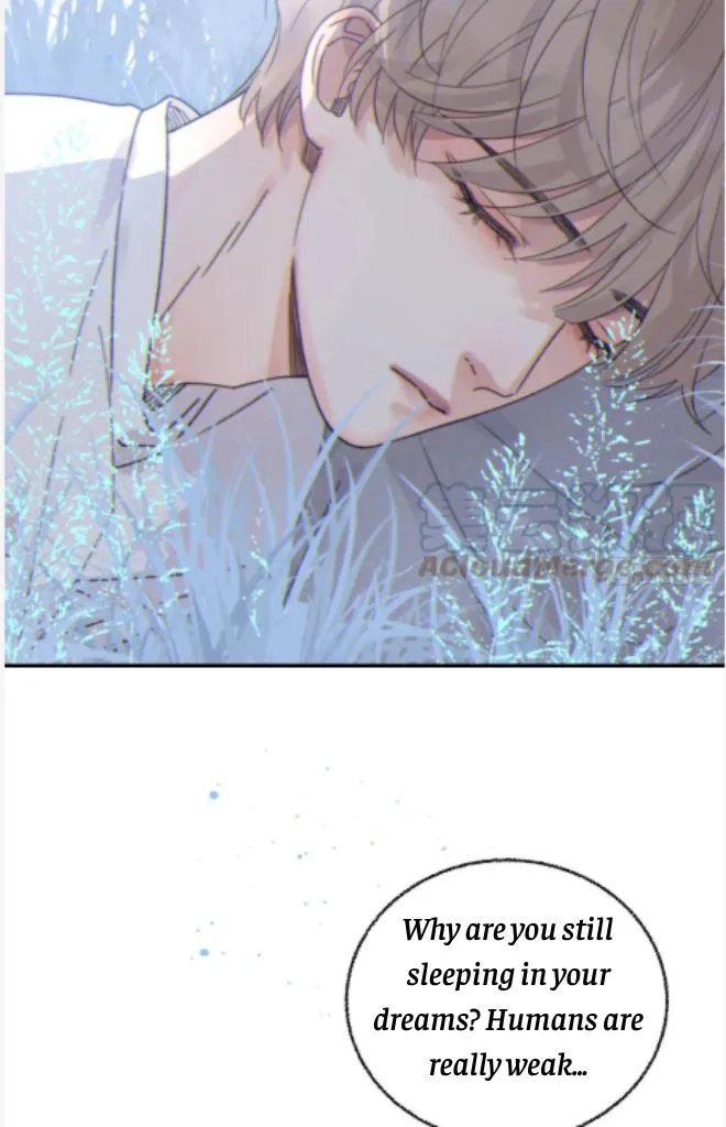 Fall Into A Nightmare With My Devil Chapter 14 page 52 - 