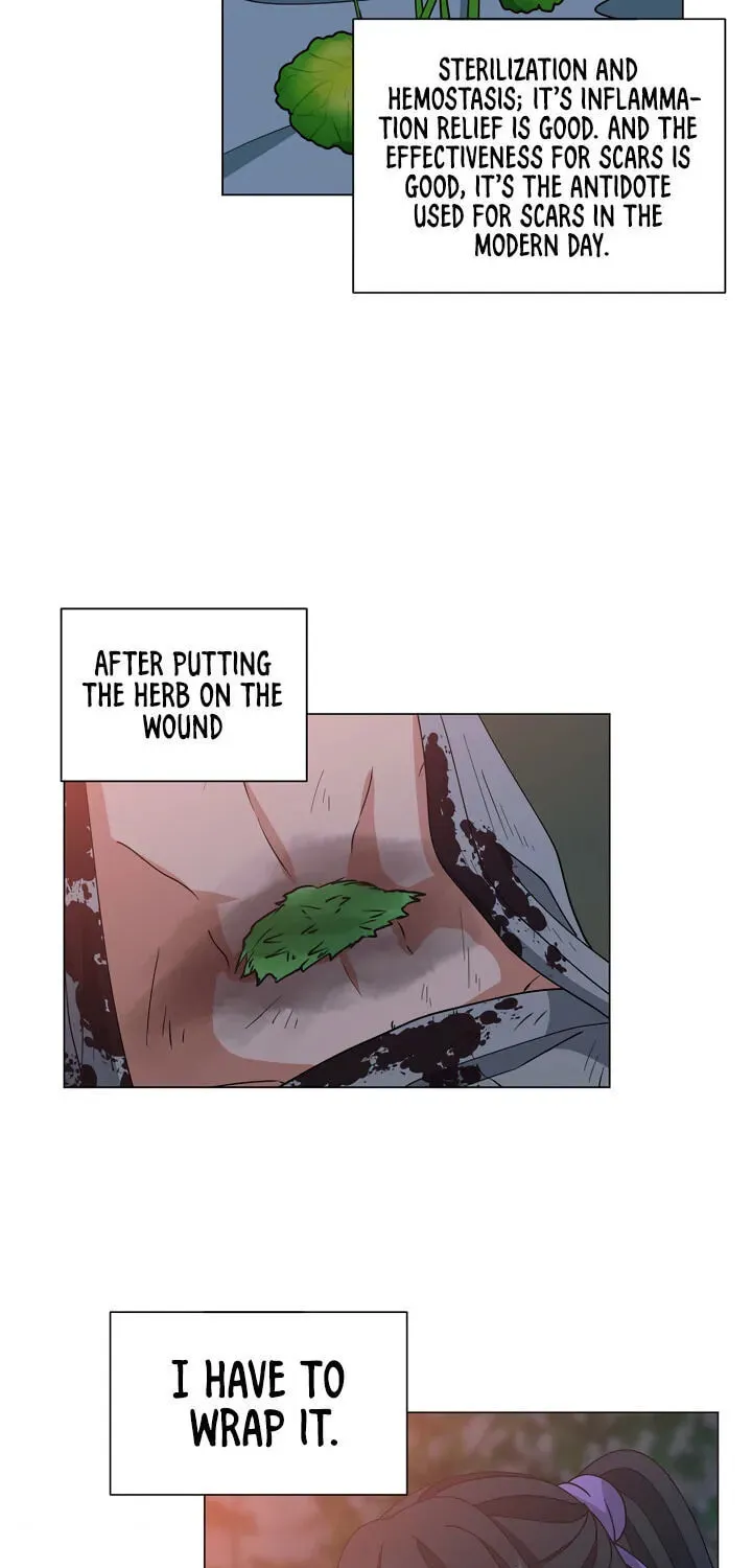 Falling Flower, Flowing Water Chapter 40 page 28 - 