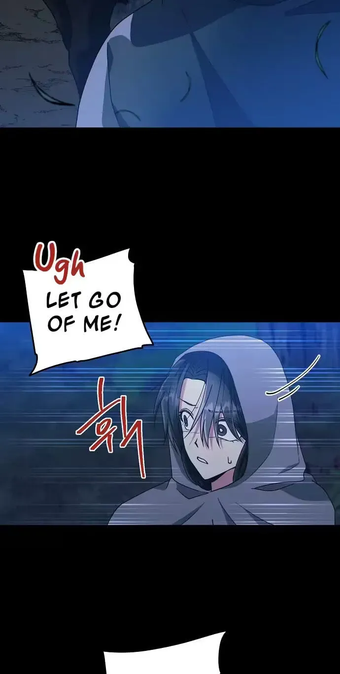Falling Flower, Flowing Water Chapter 41 page 40 - 