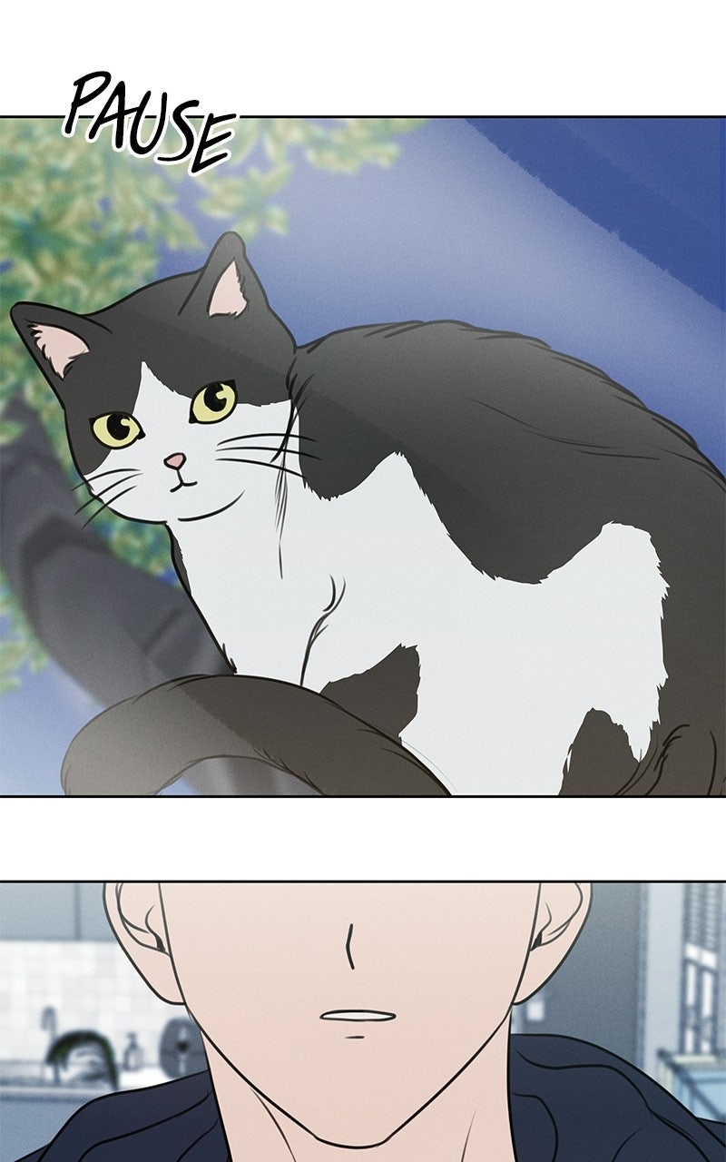 Falling For It Episode 20 page 106 - 
