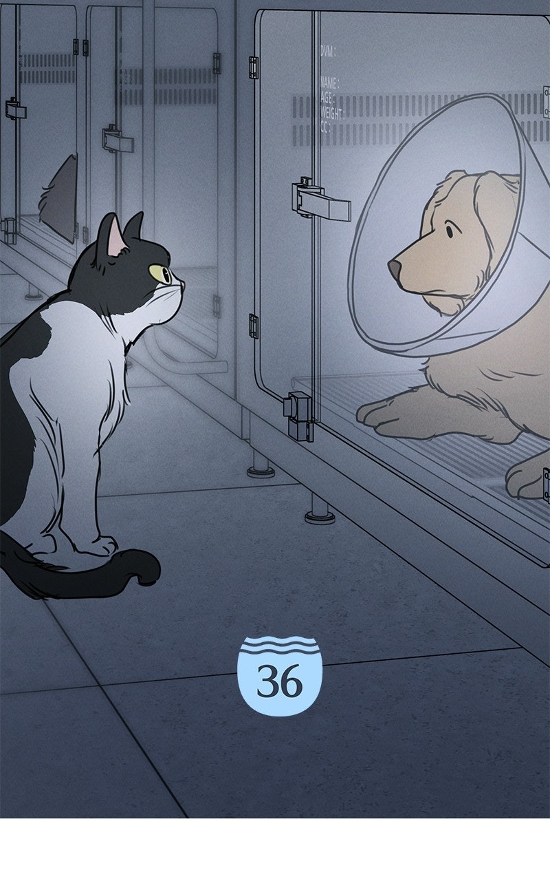 Falling For It Episode 36 page 37 - 