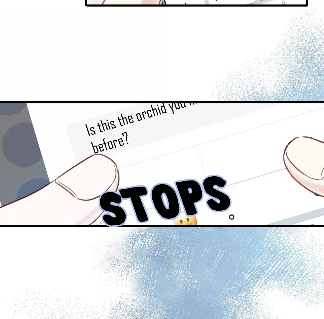 Falling in Love Gives Me Superpowers Chapter 94 page 13 - 